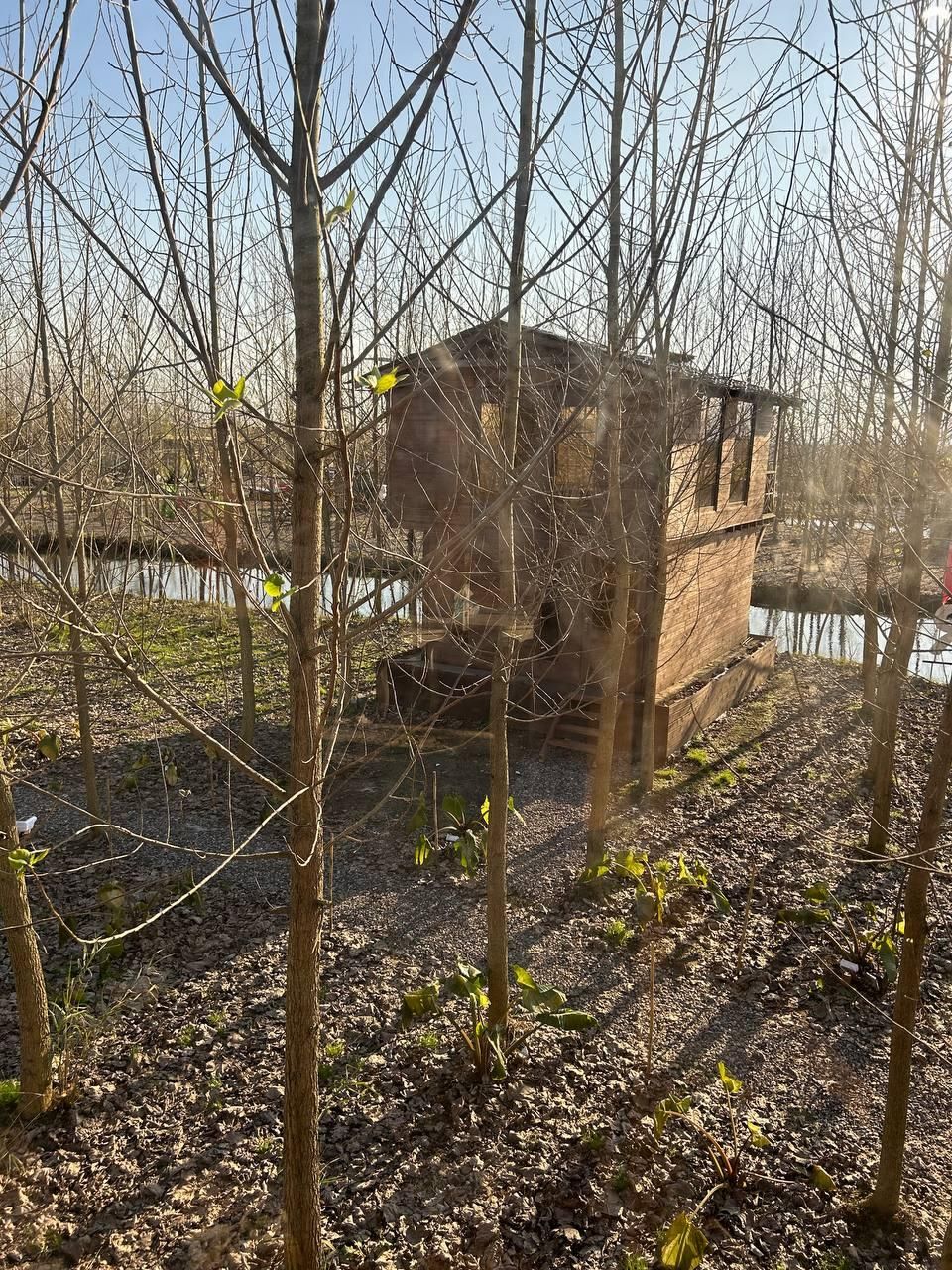 ویلایی دلباز لوکیشن شهرکی|فروش خانه و ویلا|محمدشهر, شهرک پیام (مهرالبرز)|دیوار