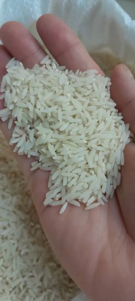 برنج هاشمی محصول امسال|خوردنی و آشامیدنی|رشت, علی آباد|دیوار
