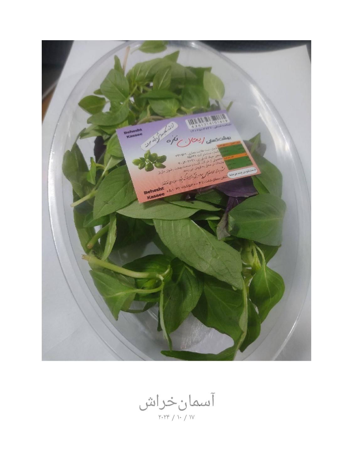 ریحون وسبزی خوردن تفاله پیاز وسبزیرخرد شده وسالاد|خوردنی و آشامیدنی|مشهد, کلاهدوز|دیوار