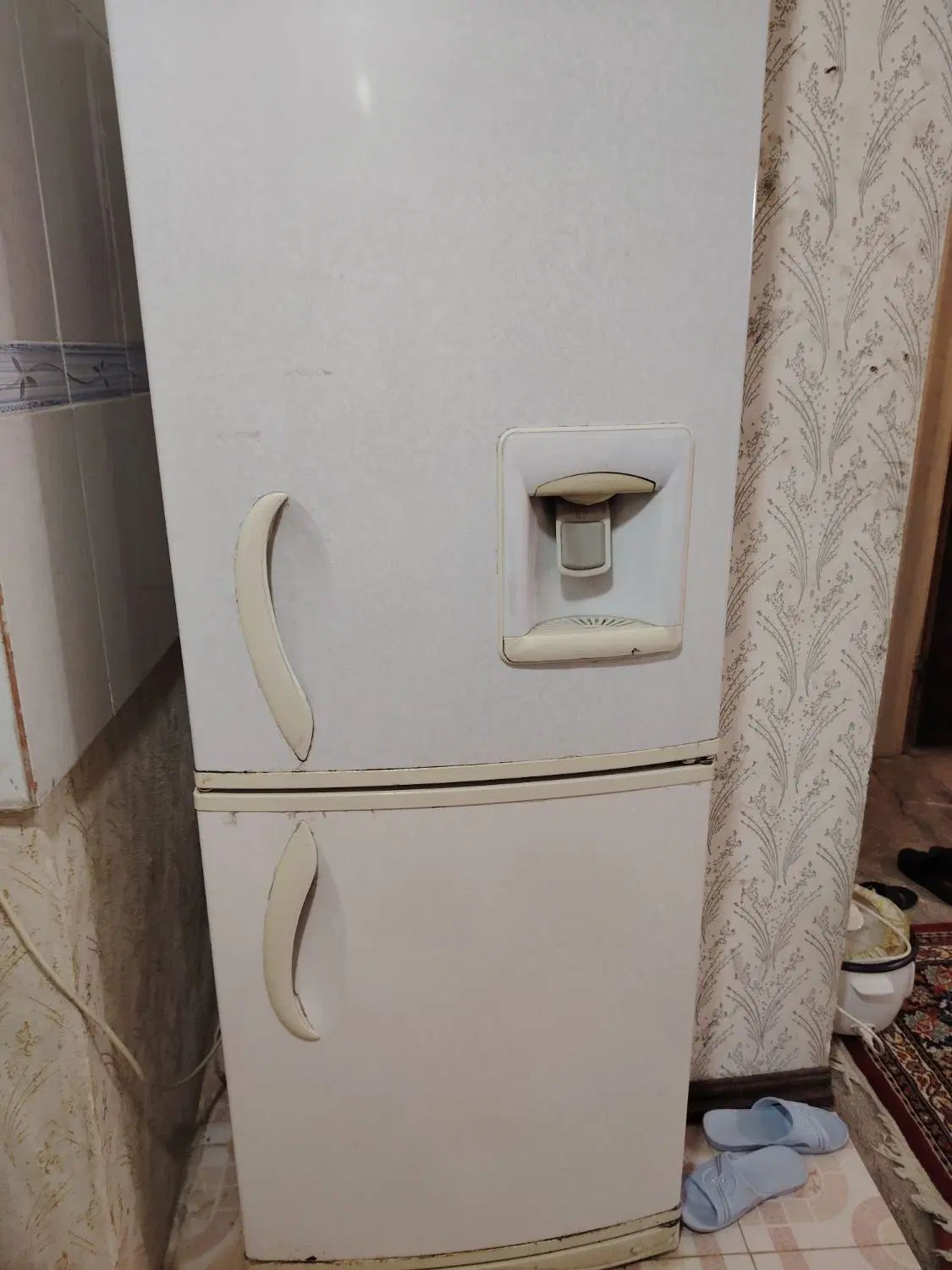 یخچال|یخچال و فریزر|مشهد, ثامن|دیوار