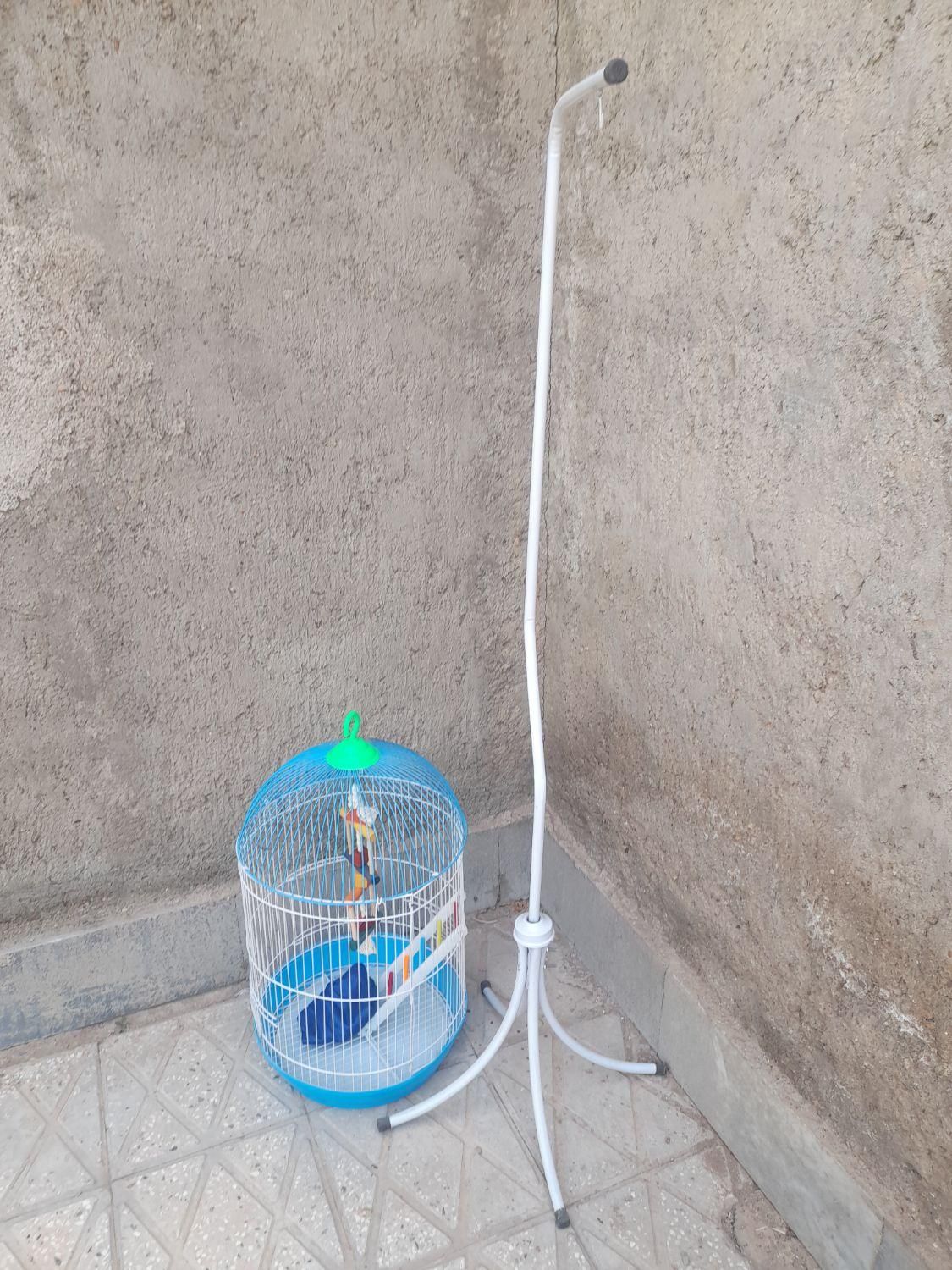 قفس آویز پرنده|لوازم جانبی حیوانات|قائن, |دیوار