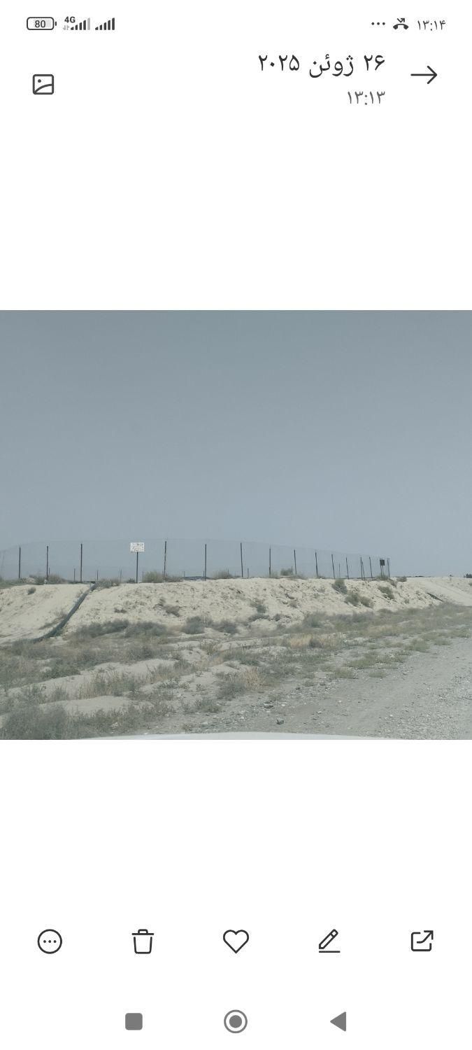 زمین آب استخر برای کشت زعفرون|اجارهٔ دفتر صنعتی، کشاورزی، تجاری|تربتحیدریه, ده پائین|دیوار