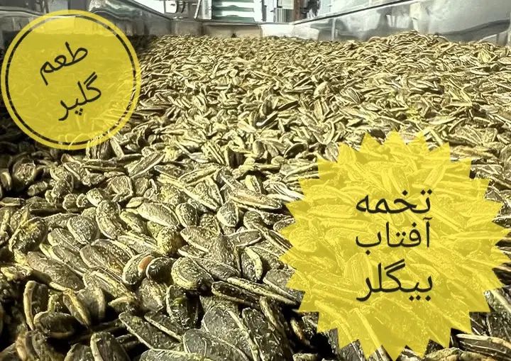 تخمه آفتابگردان خارجی|خوردنی و آشامیدنی|کرج, برغان|دیوار