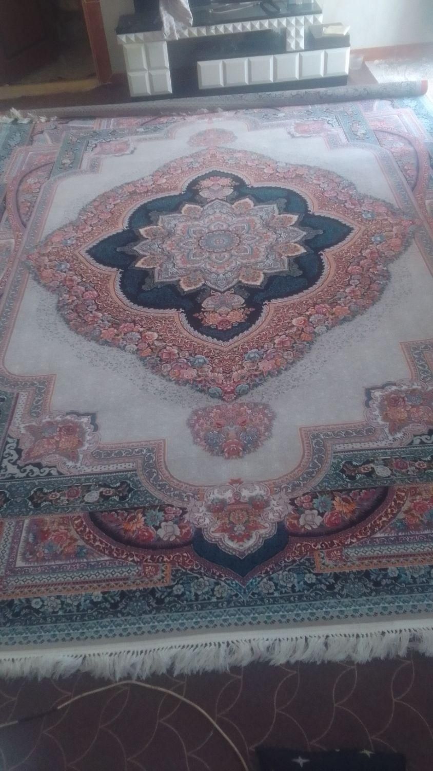 فرش نگین مشهد|فرش|مزرعه کتول, |دیوار