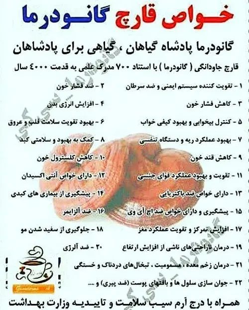 قهوه های دکتر بیز با عصاره قارچ گانودرما|خوردنی و آشامیدنی|مشهد, دانشجو|دیوار