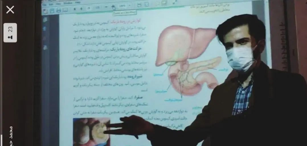 انتخاب رشته، تدریس زیست و زبان توسط دبیر رسمی|خدمات آموزشی|قم, بلوار امین و ساحلی|دیوار