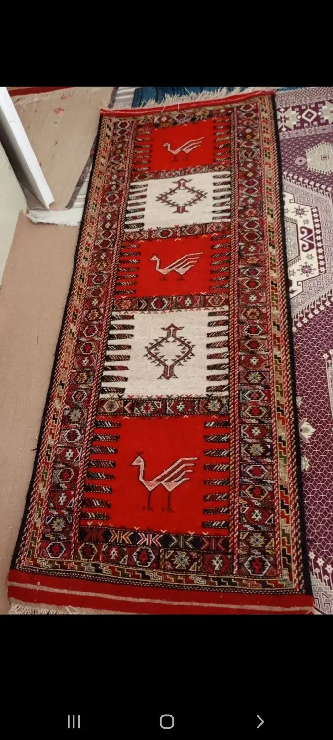گلیم|گلیم، جاجیم، گبه|تهران, آذربایجان|دیوار