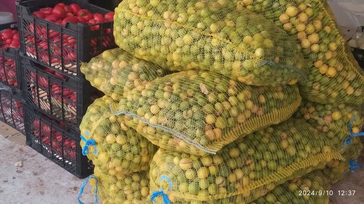 آبلیمو آبغوره خالص امسالی تازه سرکه سیب انگور|خوردنی و آشامیدنی|یزد, |دیوار