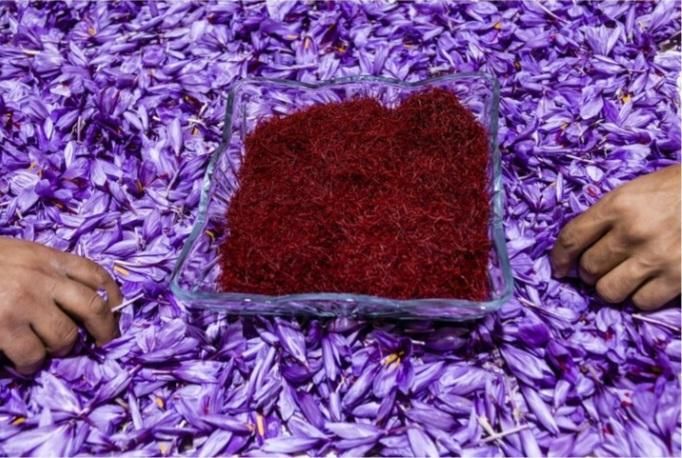 زعفران سرگل،نگینی،پوشالی|خوردنی و آشامیدنی|تهران, بریانک|دیوار