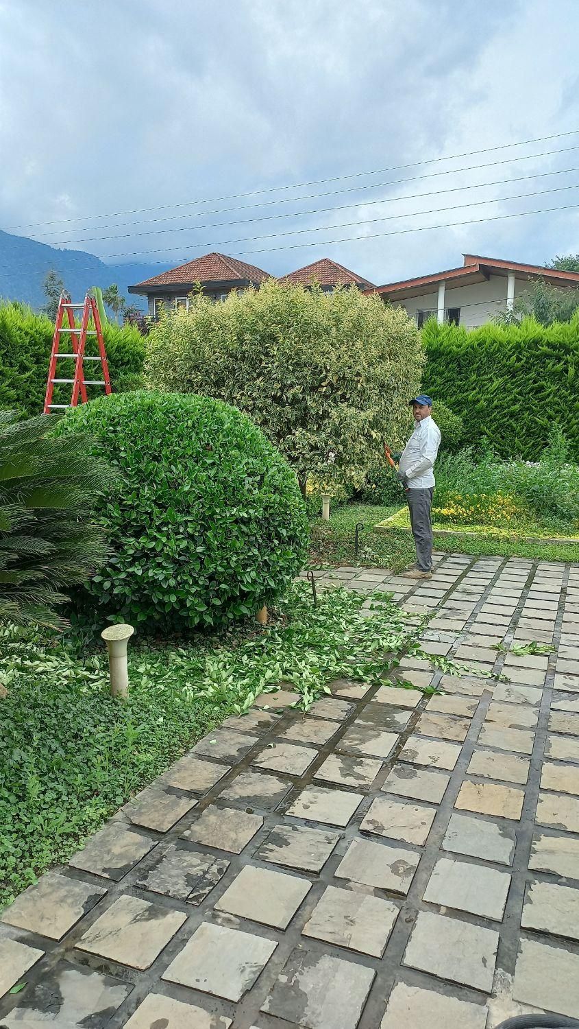 خدمات باغبانی فضای سبز|خدمات باغبانی و درختکاری|نوشهر, |دیوار