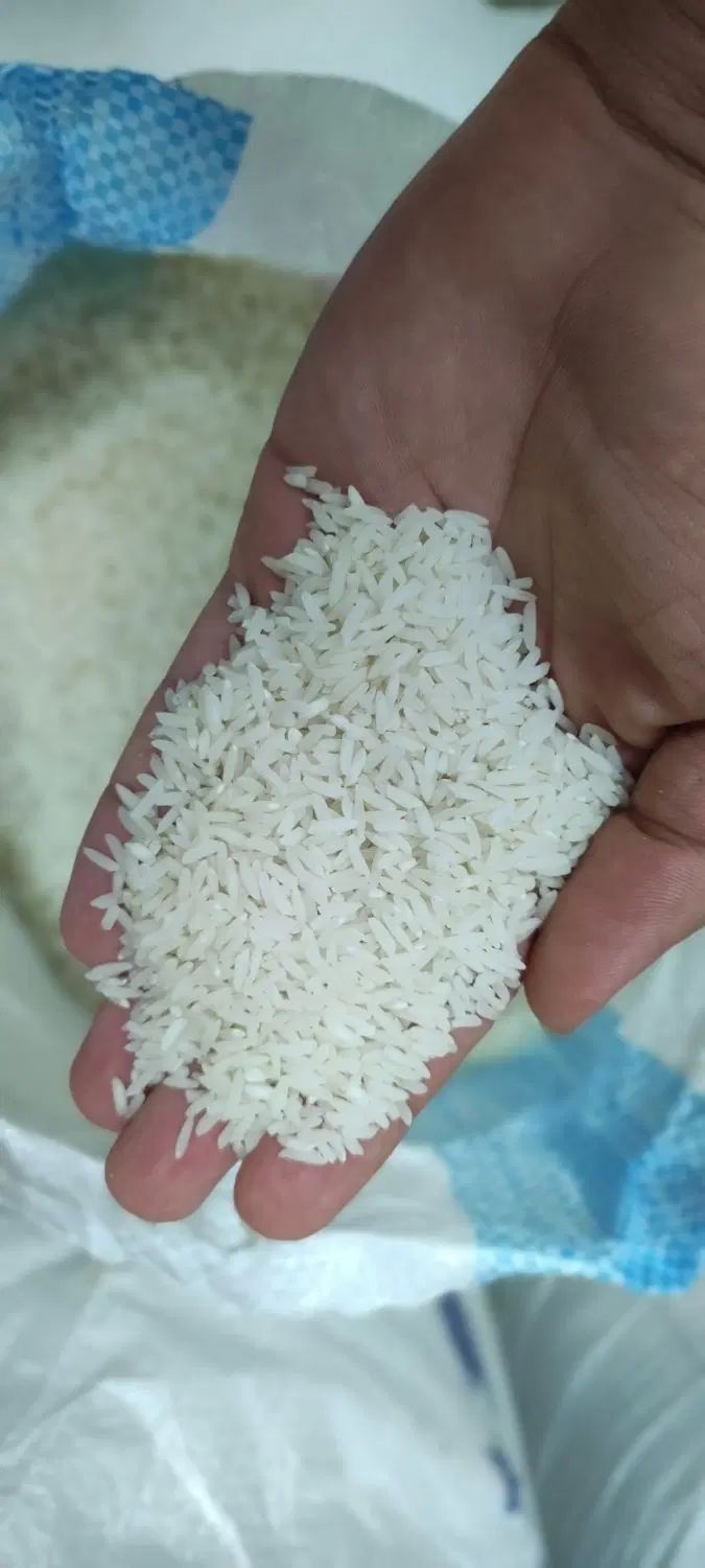 یکبار امتحان کنی ضرر نداره/برنج کمیاب آستانه/زرددم|خوردنی و آشامیدنی|کرج, گوهردشت|دیوار