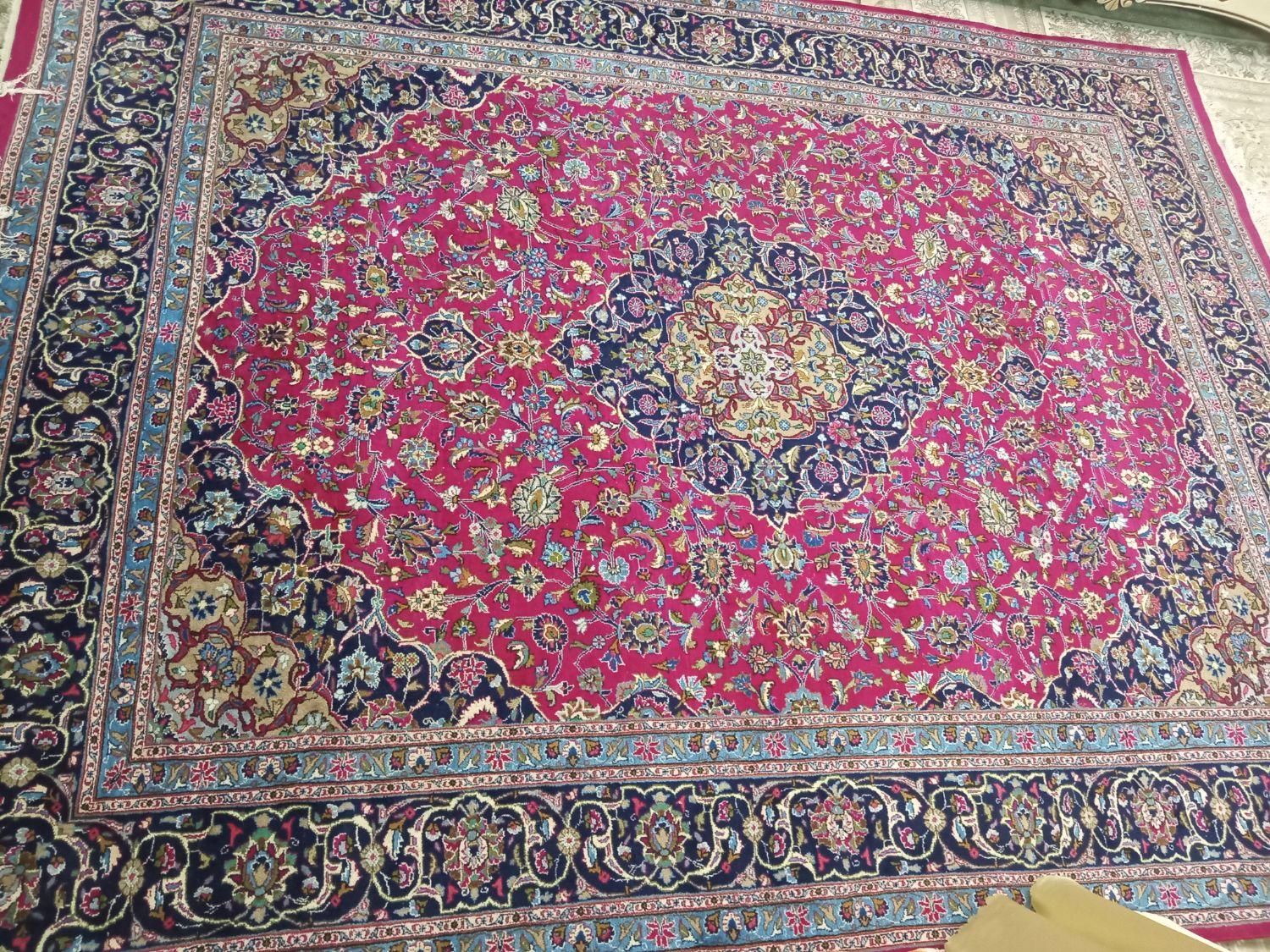 ۲تخته فرش دست باف پشمی|فرش|تربت‌حیدریه, باغ ملی|دیوار