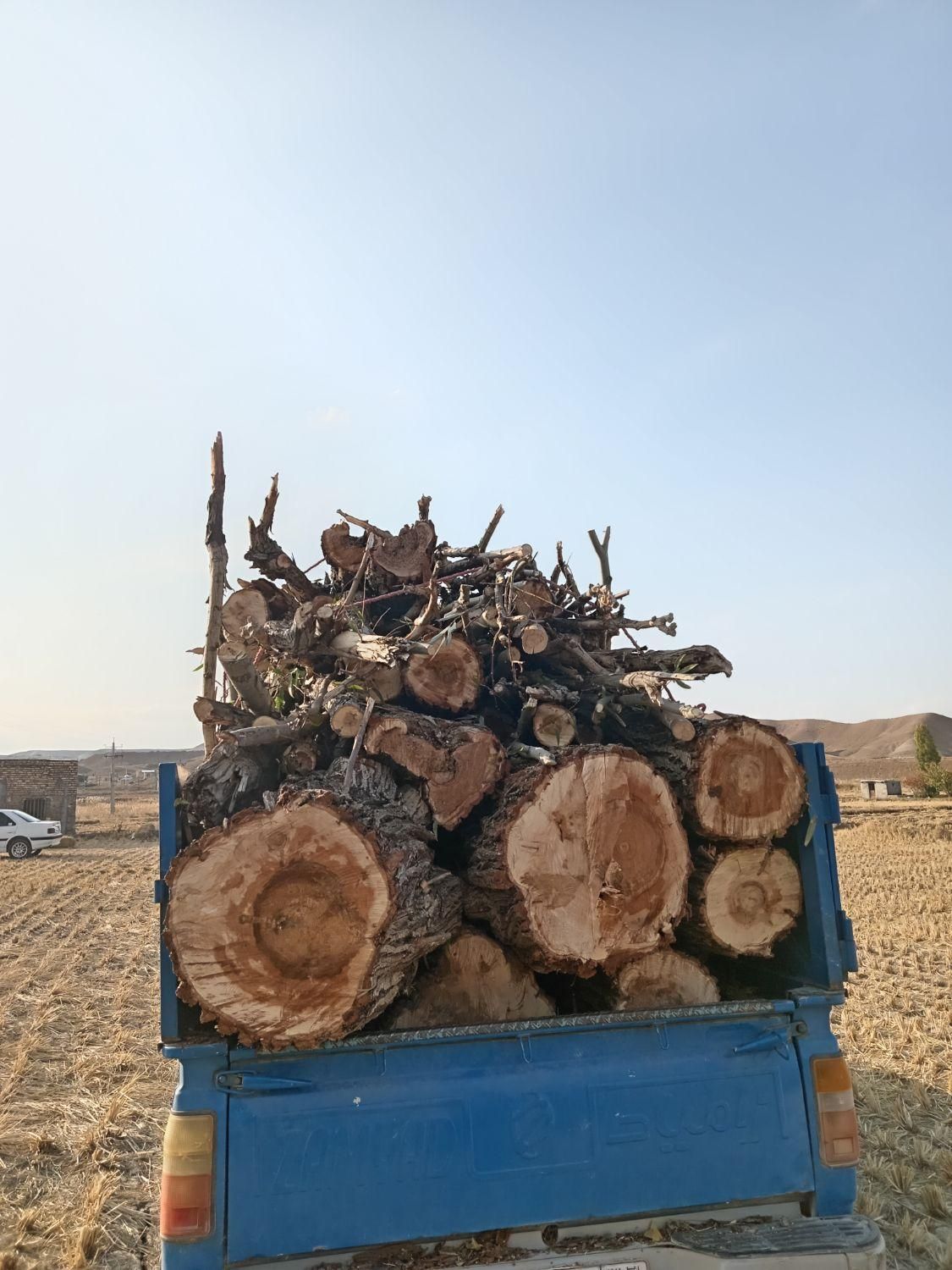 خریدارچوب|خدمات باغبانی و درختکاری|میانه, |دیوار