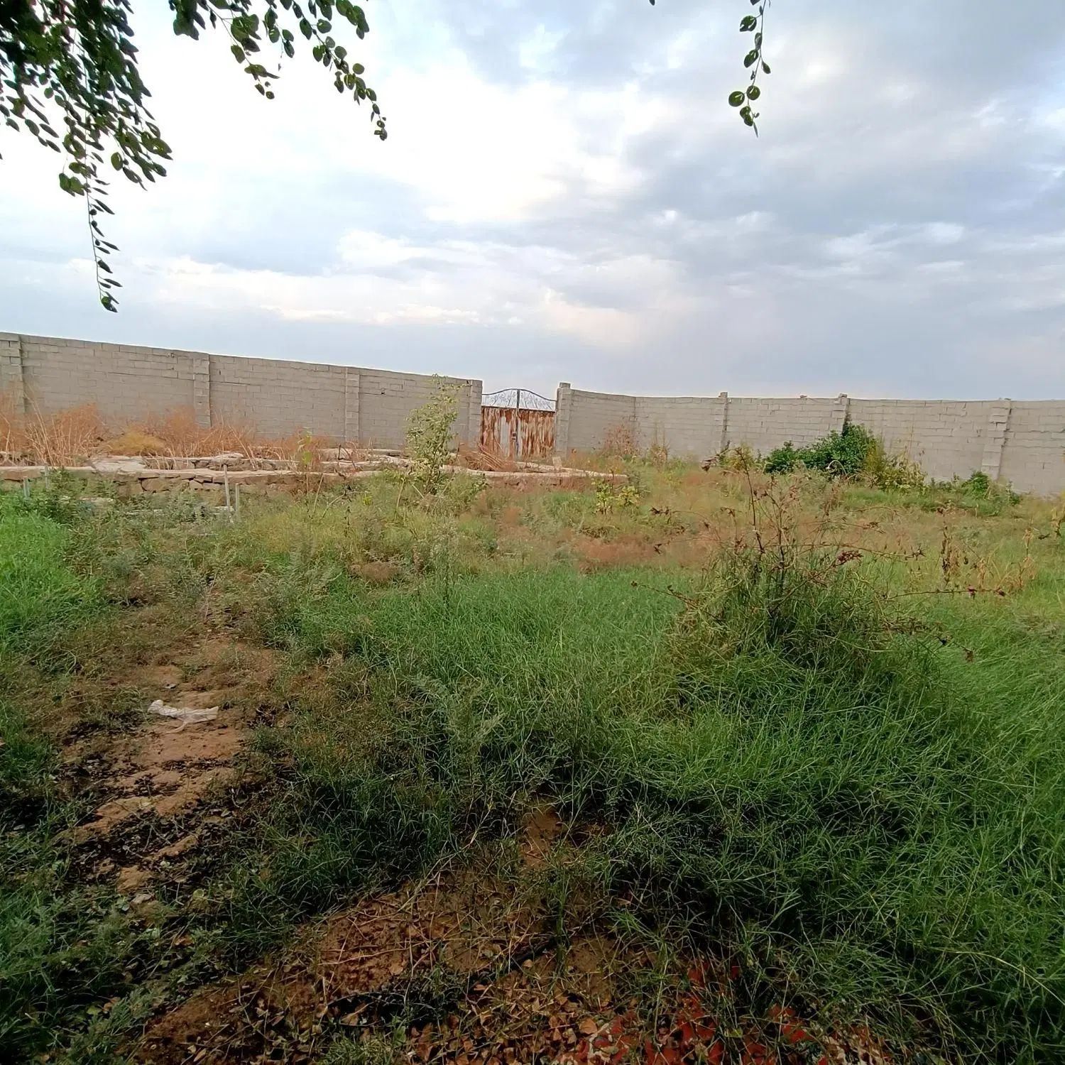 فروش/تهاتر/معاوضه زمین ۷۰۰ متری ۱۰ کیلومتری شوشتر|فروش زمین و ملک کلنگی|اهواز, کوی عابدی|دیوار