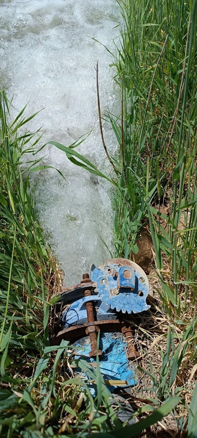 باغچه باغ/800متر/آب فراوان/فاروق|فروش زمین و ملک کلنگی|سیدان, |دیوار