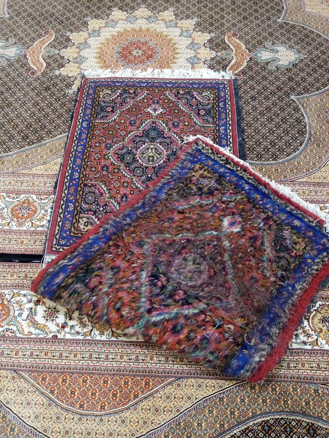 پادری دستباف نونو|فرش|اردبیل, |دیوار