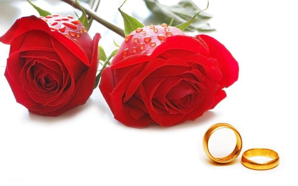 مشارکت یا خرید وام ازدواج|خدمات مالی، حسابداری، بیمه|تهران, نجات اللهی|دیوار