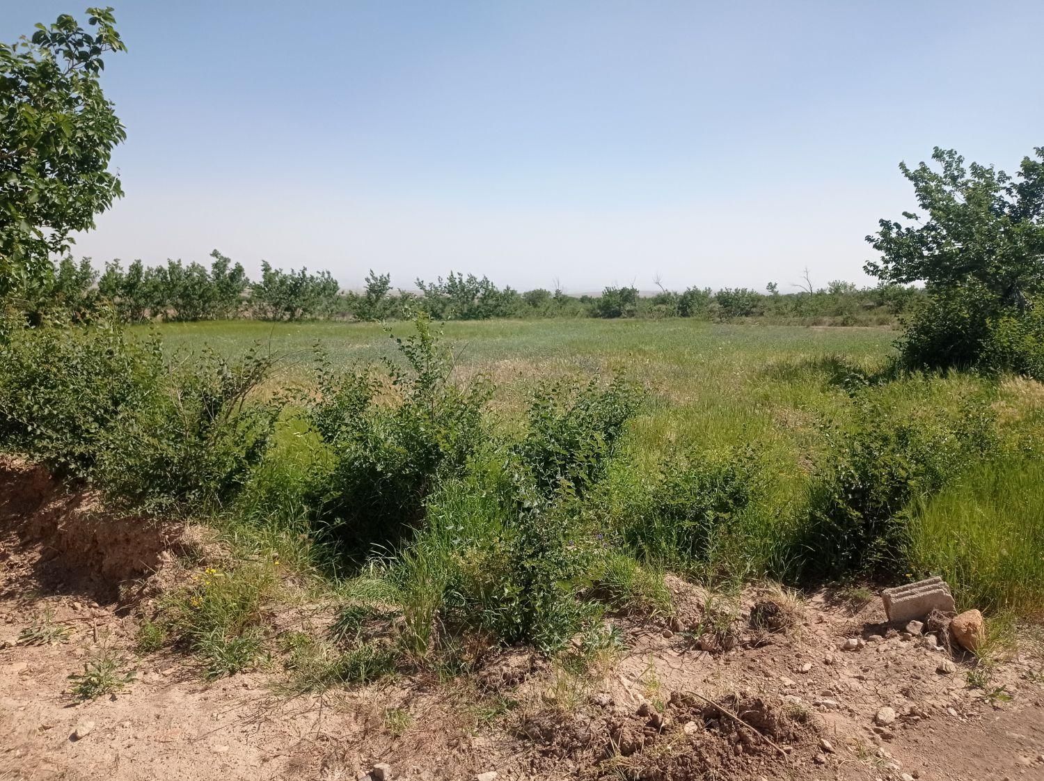 روستای امند 1400متر زمین ویلایی|فروش خانه و ویلا|صوفیان, |دیوار