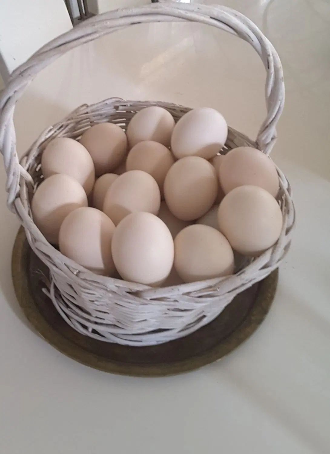 تخم مرغ نطفه دار سلطان و لهستانی|حیوانات مزرعه|کرج, فاز ۳ مهرشهر|دیوار