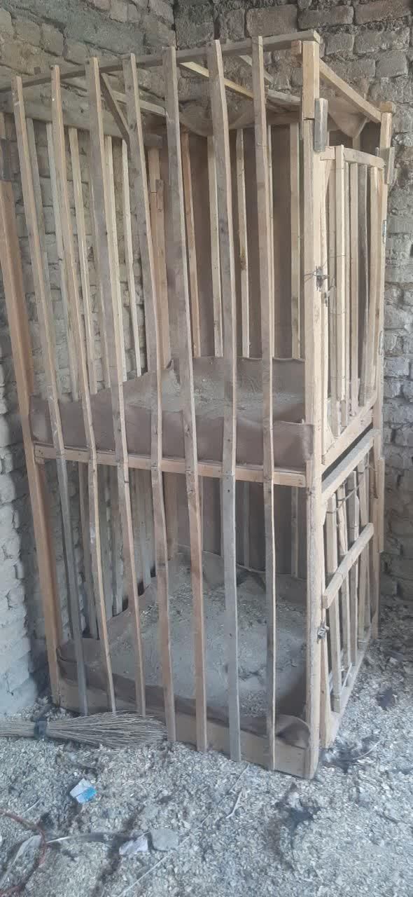 قفس|لوازم جانبی حیوانات|صحنه, |دیوار