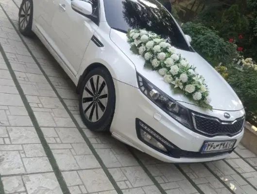 گل ارایی ماشین عروس از ۷۰۰و ست های بله برون|خدمات پذیرایی، مراسم|کرج, شاهین‌ویلا|دیوار