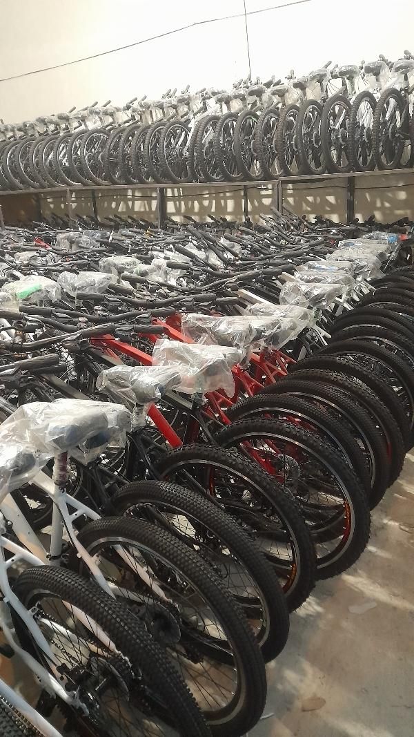 مستقیم از تولیدی دوچرخه|دوچرخه، اسکیت، اسکوتر|پاکدشت, خاتون آباد|دیوار