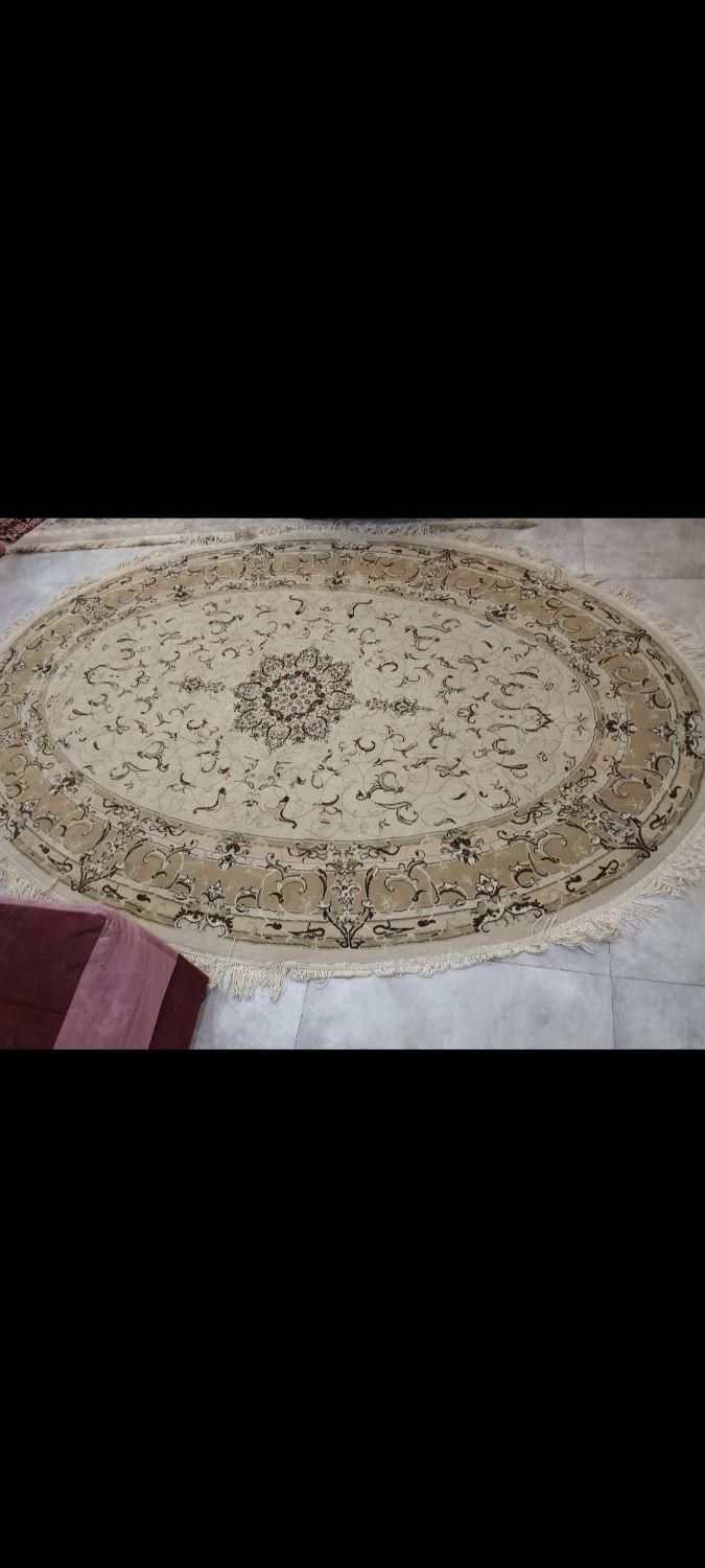 قالیچه کرم بیضی شکل|فرش|اهواز, بهارستان|دیوار