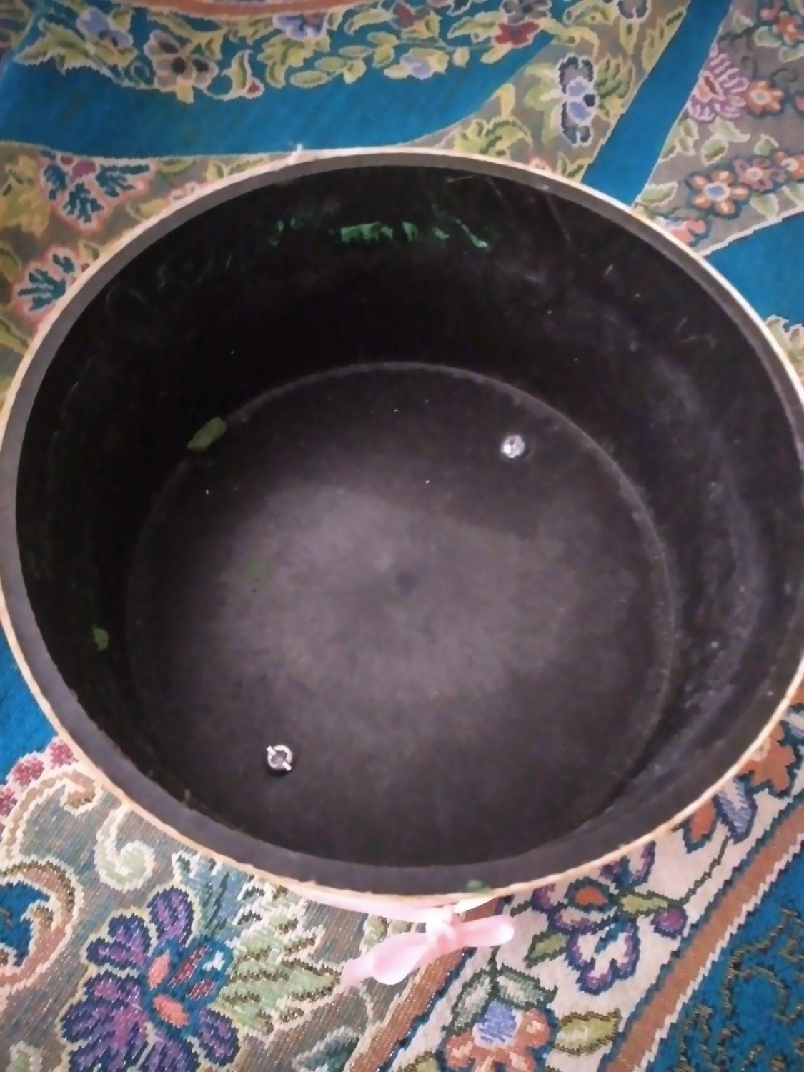 باکس گل|گل و گیاه طبیعی|مشهد, حسابی جنوبی (شهرک غرب)|دیوار
