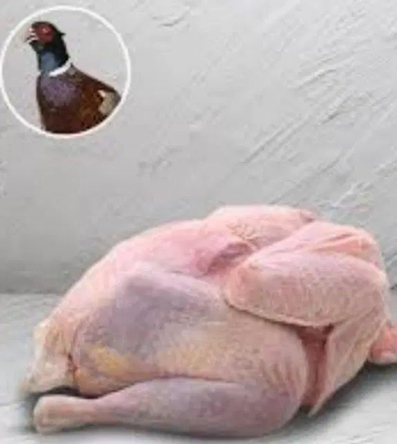 گوشت مرغ خروس آمریکایی|حیوانات مزرعه|اصفهان, احمدآباد|دیوار