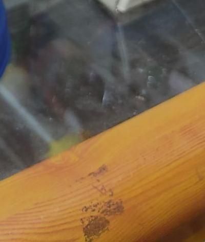 مشاوره و کمک به کارجویان ، (استخدام و کار ازاد)|فعالیت داوطلبانه|سوسنگرد, |دیوار