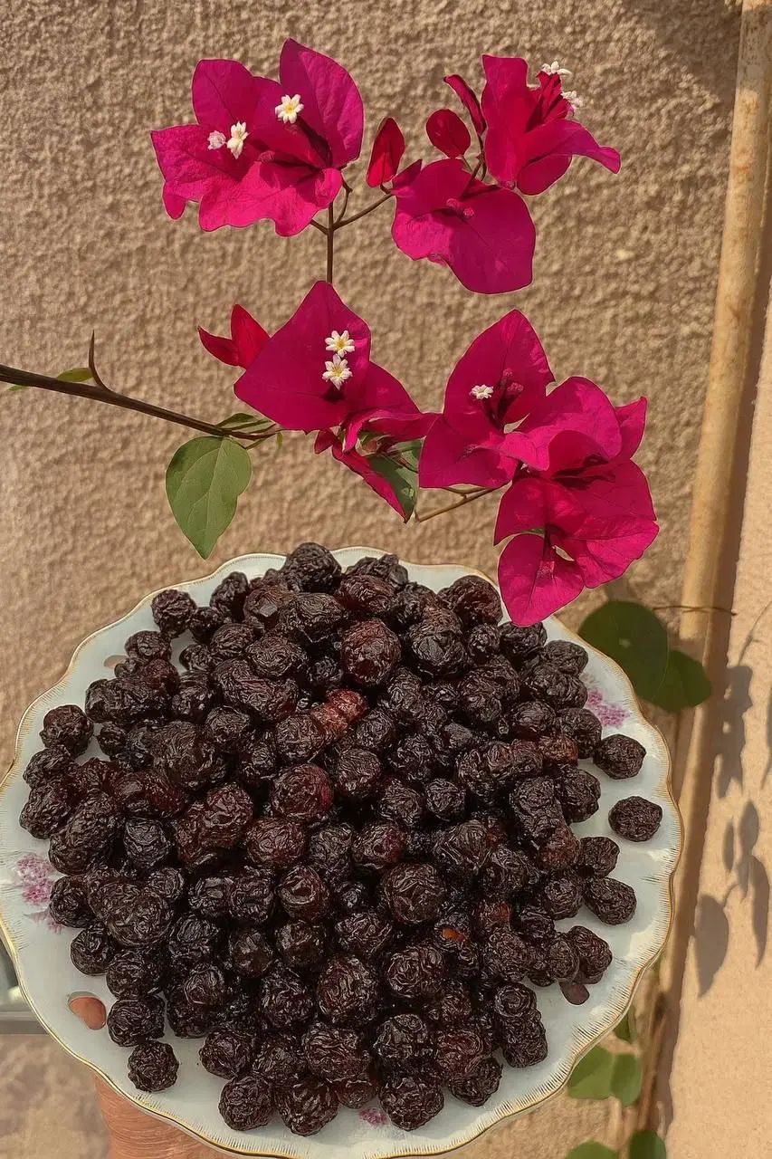 آلبالو خشکه|خوردنی و آشامیدنی|تهران, تهرانسر شمالی|دیوار