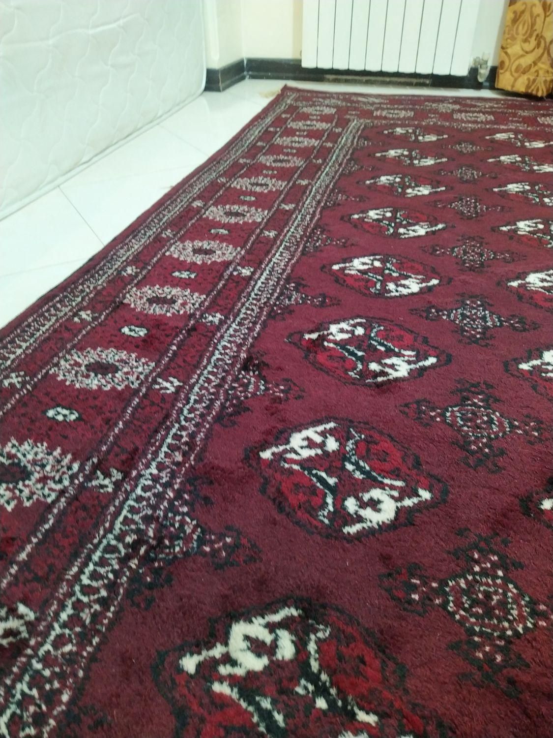 فرش دستباف ترکمن|فرش|گرگان, |دیوار