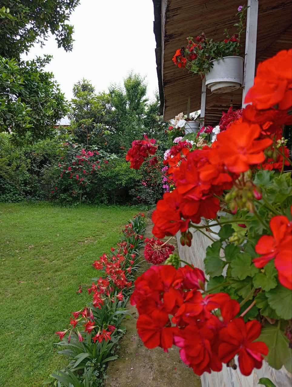 اجاره روزانه/هفتگی/ماهانه آپارتمان ۱۱۰ متری|اجارهٔ کوتاهمدت آپارتمان و سوئیت|ماسال, |دیوار