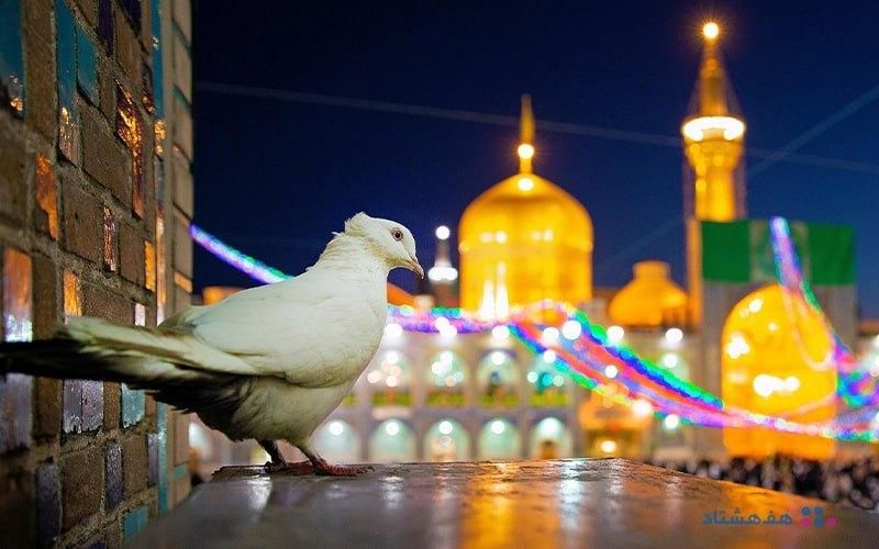 تور ریلی مشهد الرضا ویژه پاییز|تور و چارتر|قم, قم نو|دیوار