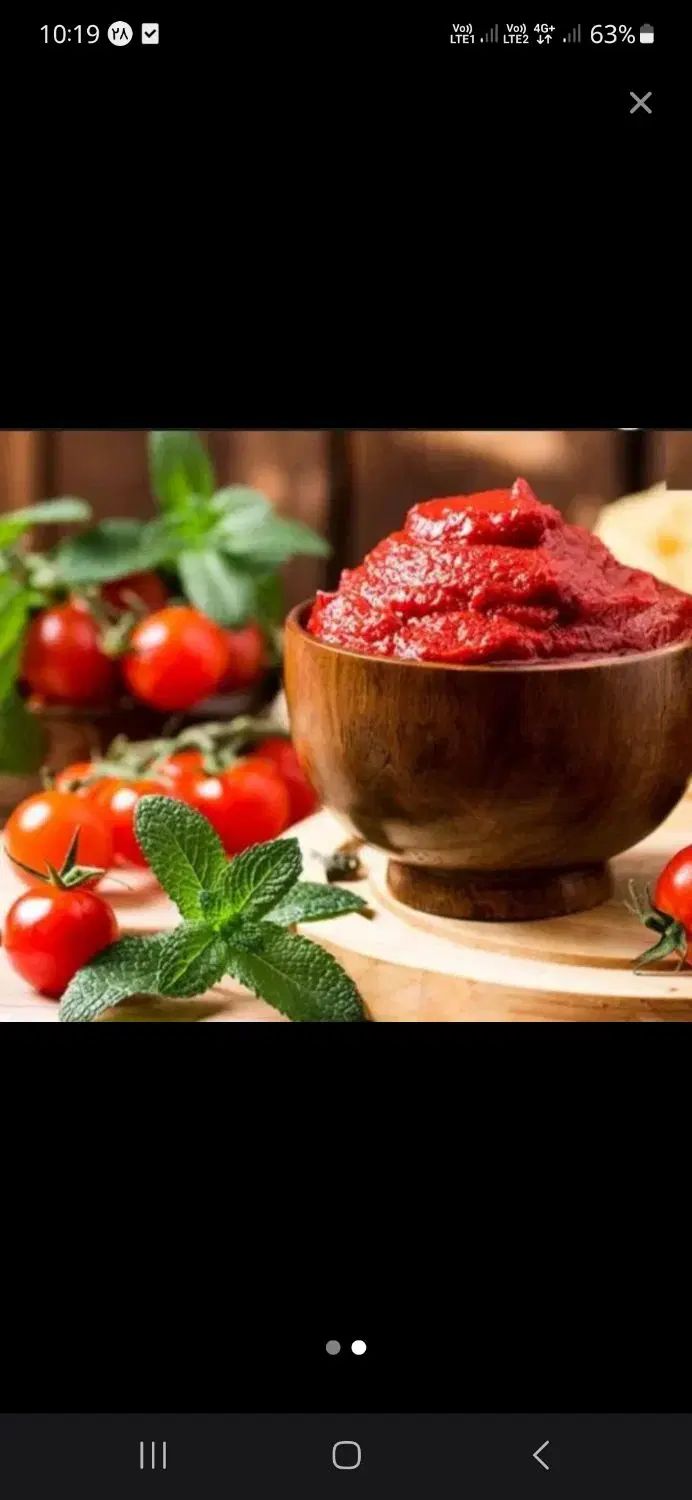 رب گوجه محلی|خوردنی و آشامیدنی|تهران, سبلان (لشگر)|دیوار