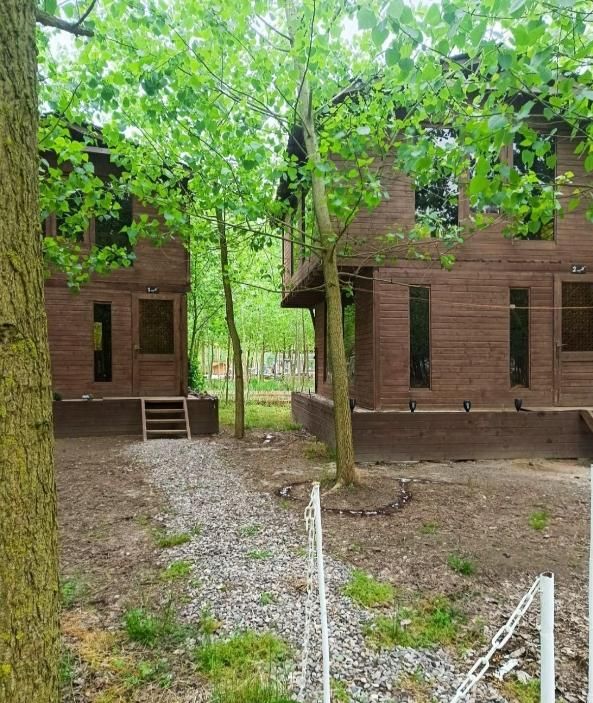 خانه چوبی دوبلکس تو دل بهشت ایران|فروش خانه و ویلا|سبزوار, قائم|دیوار