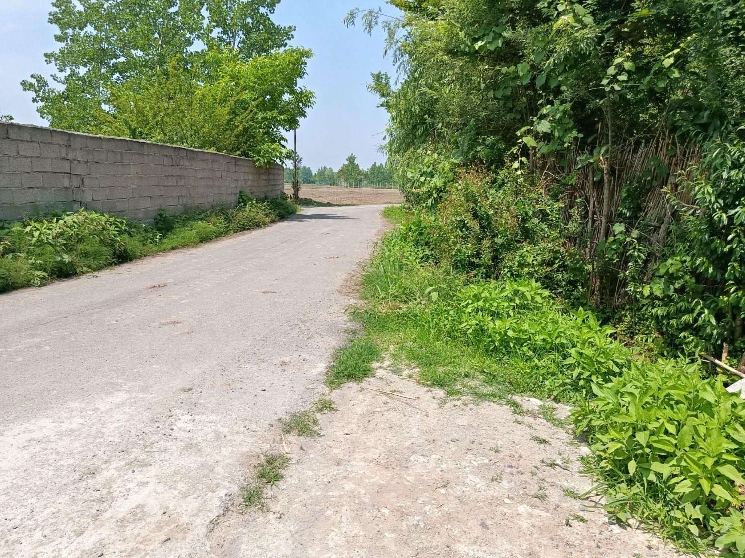 زمین دوردیوار مسکونی ۲۰۰متری گیلان رشت سنگر|فروش زمین و ملک کلنگی|سنگر, |دیوار