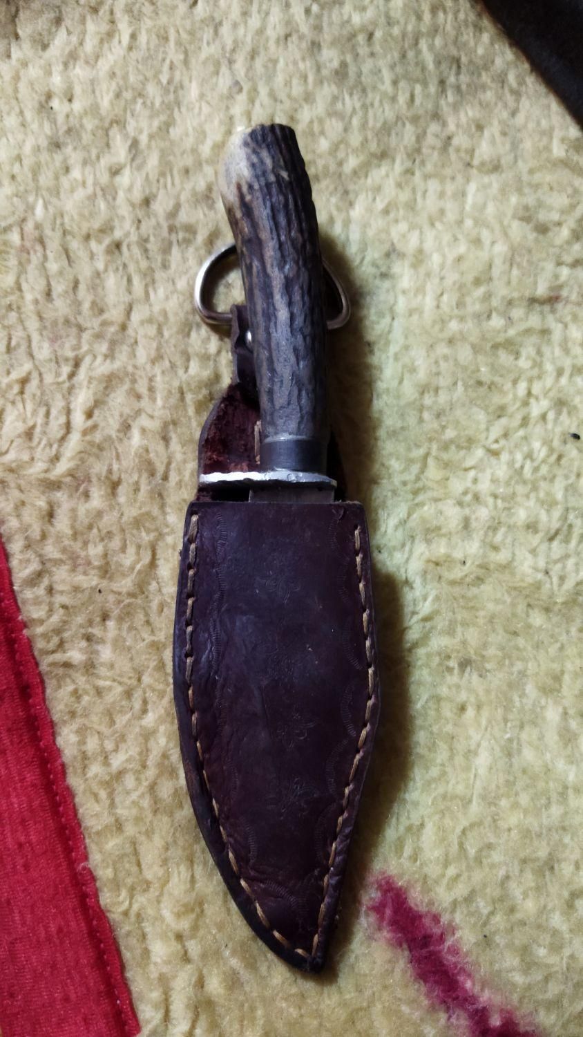 کارد چوپانی|کوهنوردی و کمپینگ|شاهرود, |دیوار