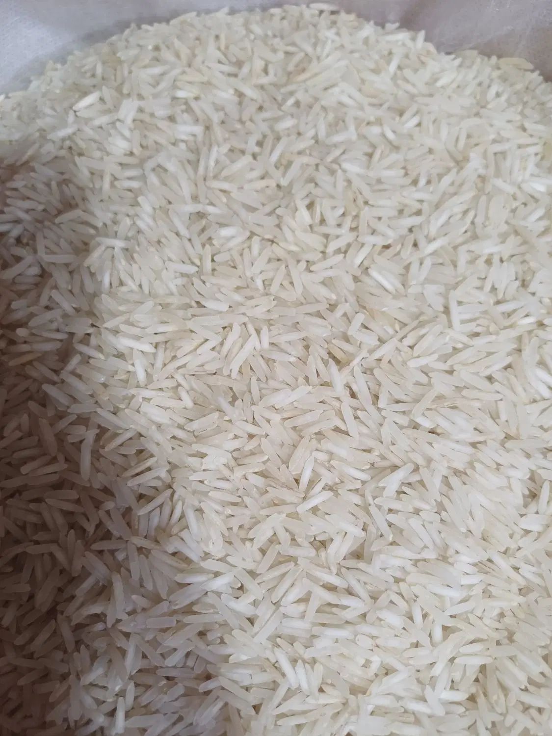 فردین دانه بلند پاکستانی|خوردنی و آشامیدنی|مشهد, طبرسی شمالی|دیوار