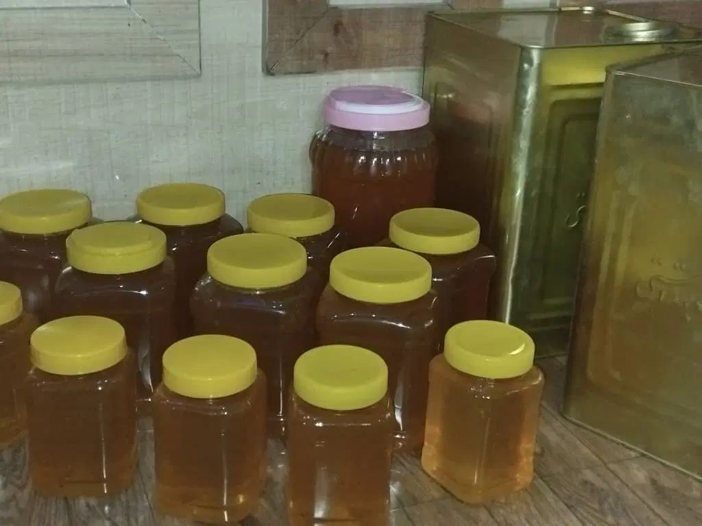 مقدار چند کیلو عسل گون  درجه یک به شرط تست|خوردنی و آشامیدنی|اصفهان, سپاهان‌شهر|دیوار