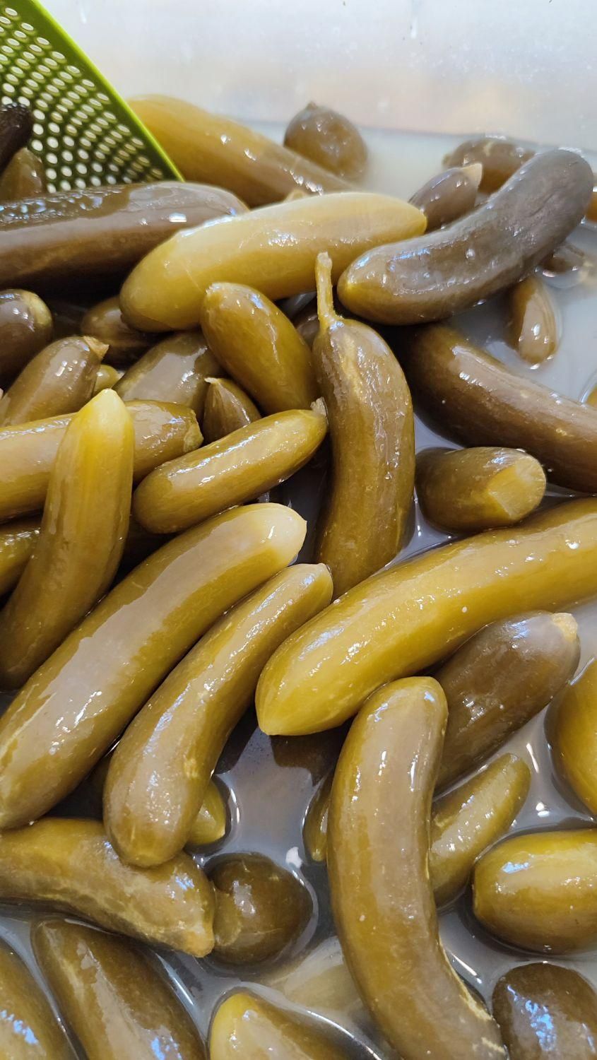 خیارشور|خوردنی و آشامیدنی|رشت, باهنر|دیوار