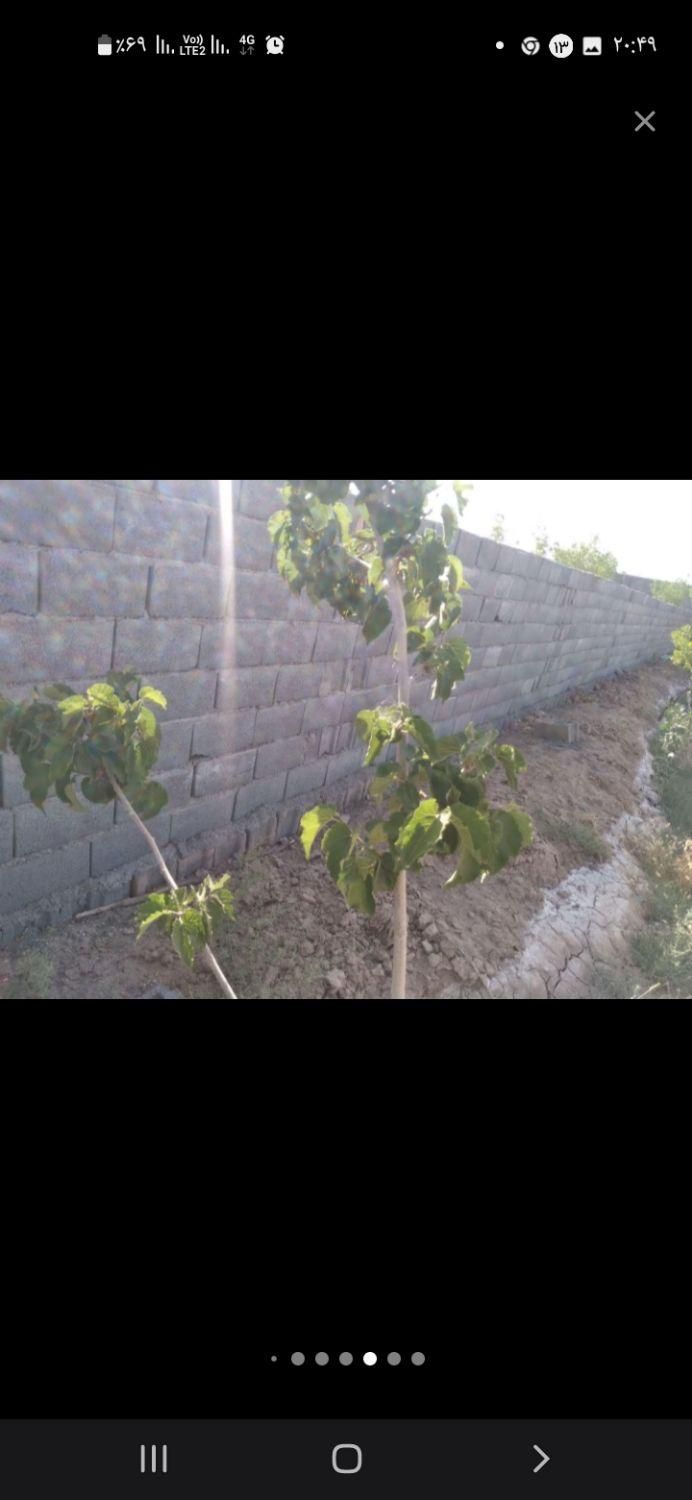 تصویر 5