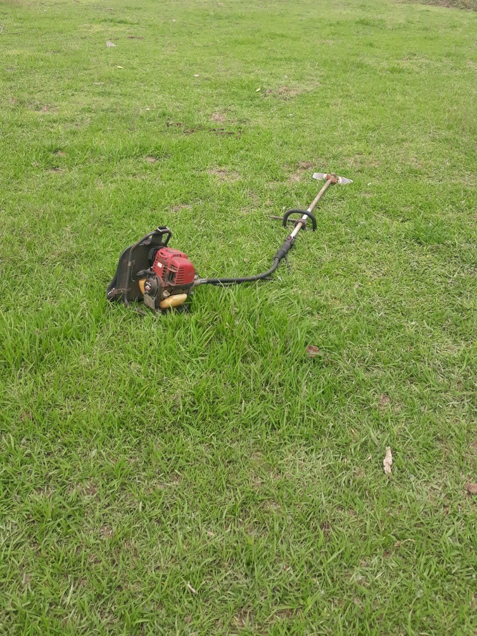 خدمات چمن زنی و زدن علف هرز با سم پاشی|خدمات باغبانی و درختکاری|رشت, نیروی دریایی|دیوار