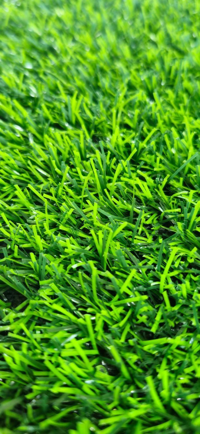 پخش و فروش چمن مصنوعی و فنس چمنی و برگی و گرینوال|خدمات باغبانی و درختکاری|کرج, شهرک نهال و بذر|دیوار