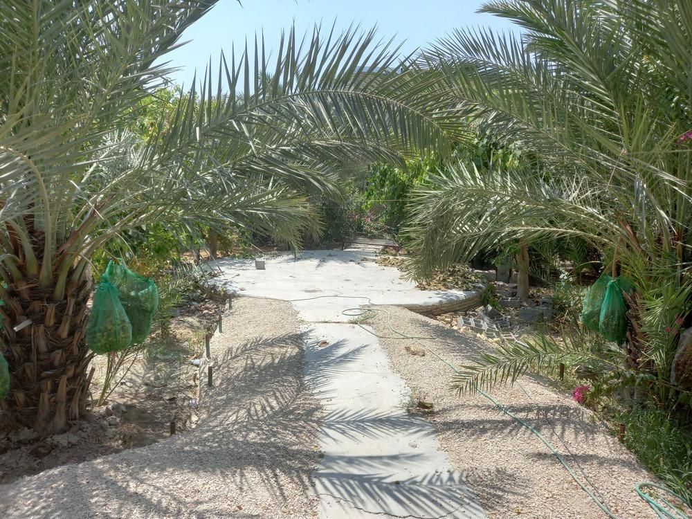 اجاره و کرایه خانه باغ ویلایی با سوییت|اجارهٔ کوتاه‌مدت ویلا و باغ|رامهرمز, |دیوار