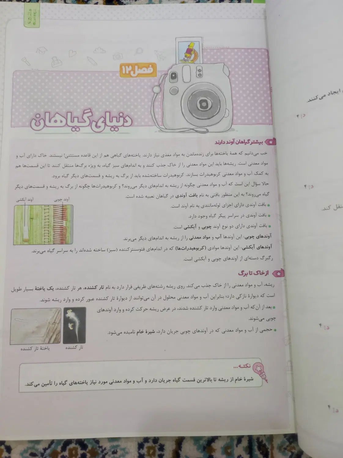 کتاب دست دوم نو ماجراهای من و درسام|کتاب و مجله ادبی|مشهد, شریف|دیوار