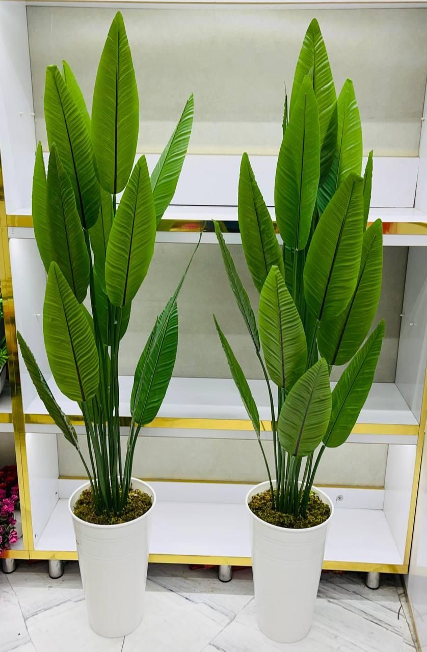 درختچه بابا آدم|گل مصنوعی|بوکان, |دیوار