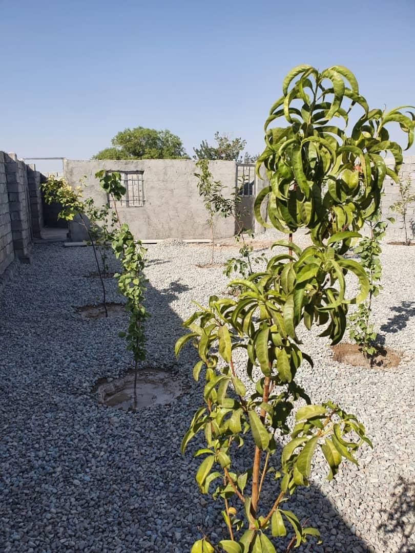 باغچه دنج زیر قیمت/شرایطی|فروش زمین و ملک کلنگی|شهریار, |دیوار
