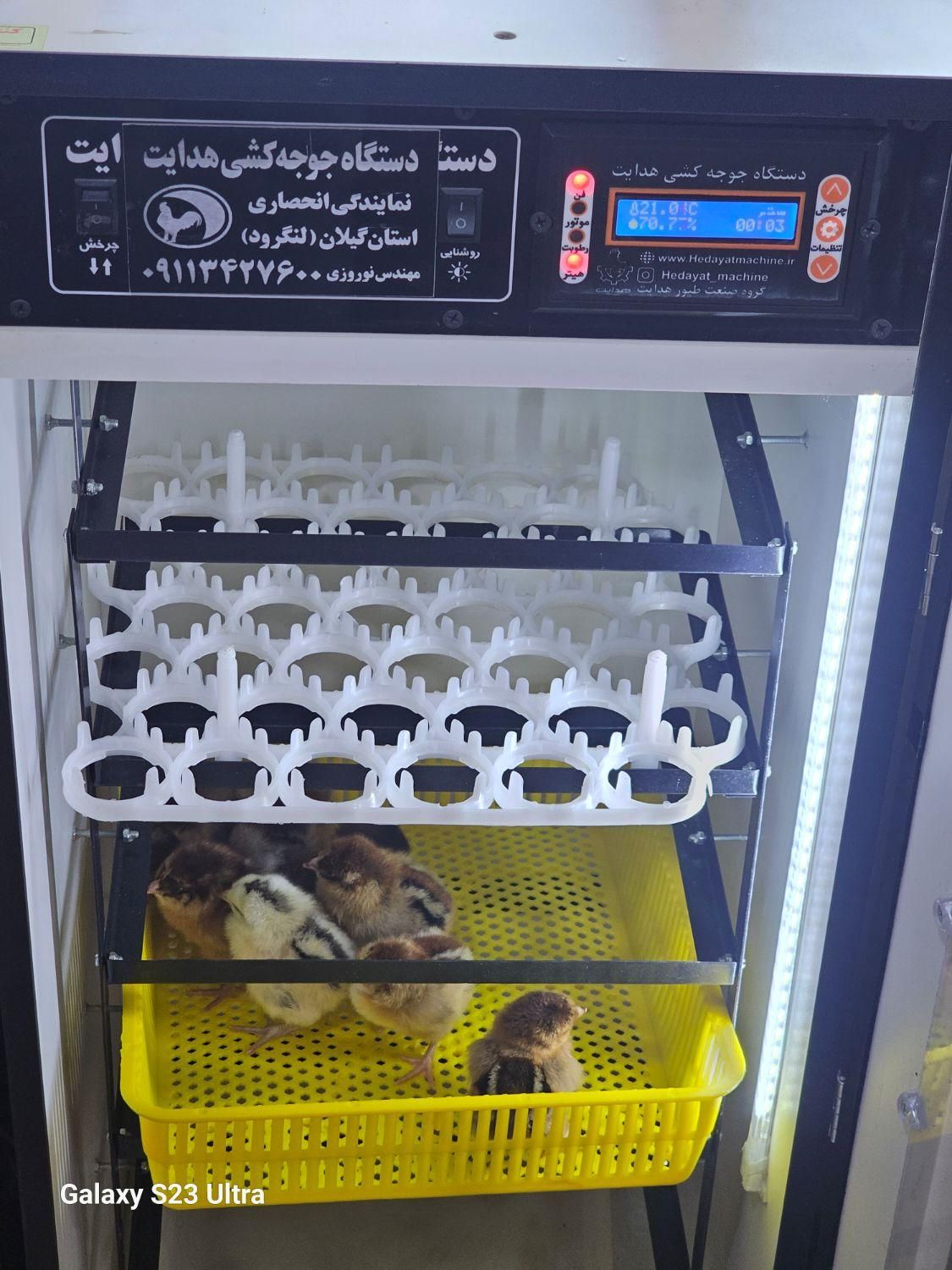 د،ستگاهجو،جه،کشی،هدایت|لوازم جانبی حیوانات|سقز, |دیوار