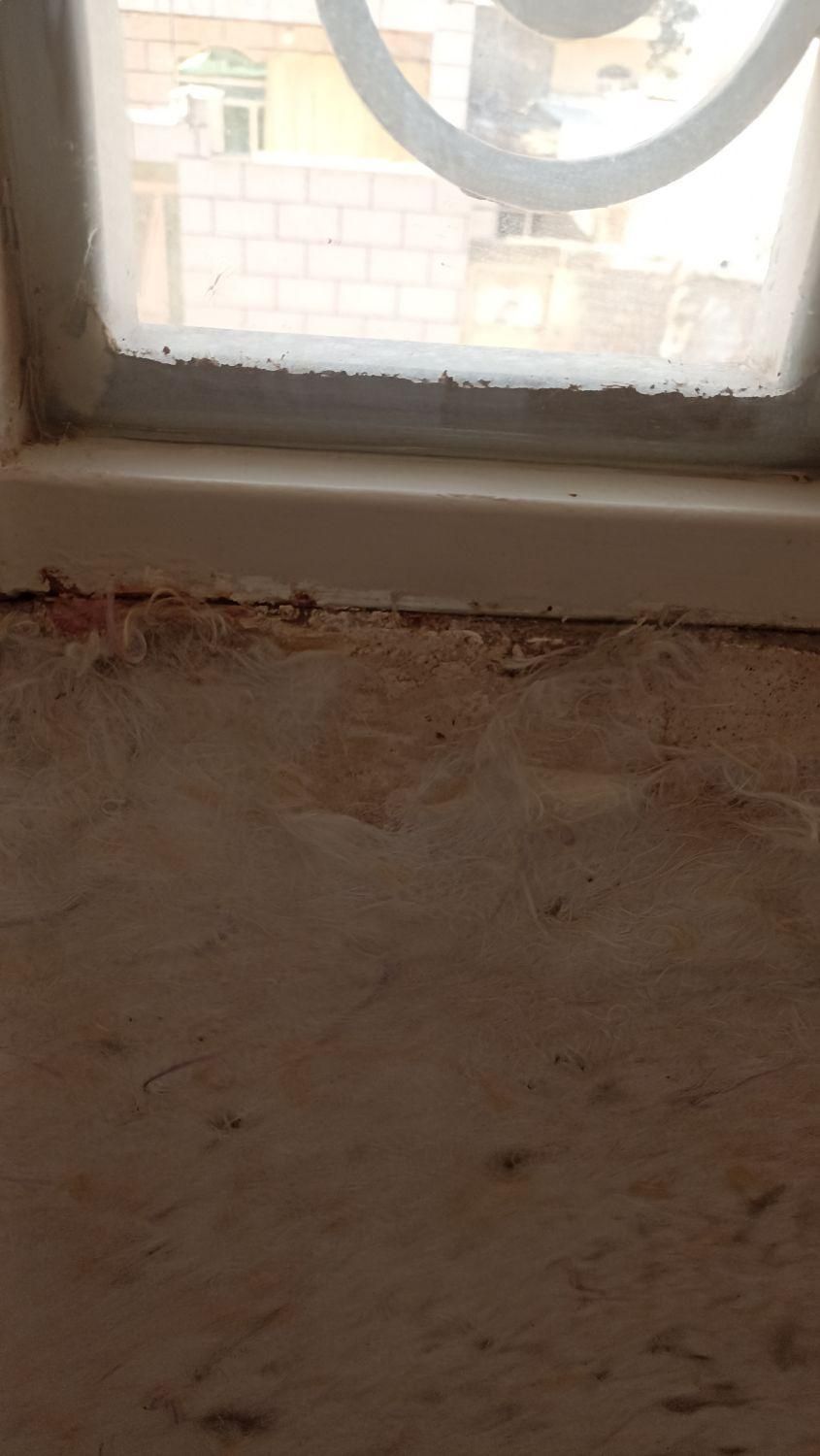 رنگ پلاستیک و پتینه والیاف چک صیادی|خدمات پیشه و مهارت|قم, کیوانفر|دیوار